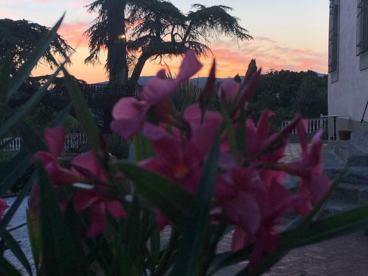 Villa D'Arte Agri Resort ポンタッシエーヴェ エクステリア 写真